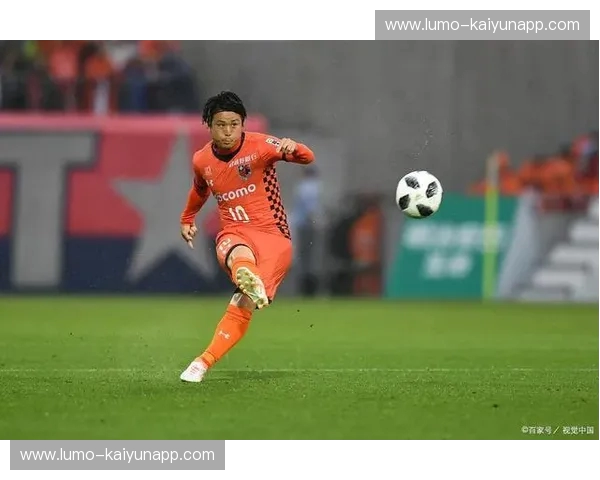 绿荫巅峰对决：冈山绿雉与大宫松鼠，一场关于尊严与梦想的绝地反击