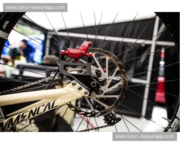 战车对决袋鼠：世界杯赛场上的激情碰撞与无限可能